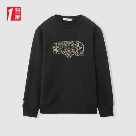 海一家时尚绣花套头衫2024春季新款舒适圆领休闲青年男士卫衣商品大图