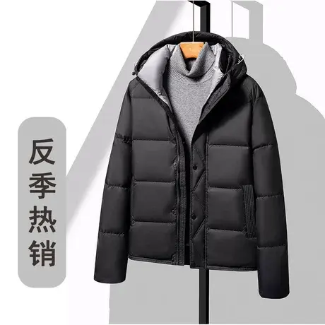 【测试勿拍】男士羽绒服立领短款白鸭绒休闲图片