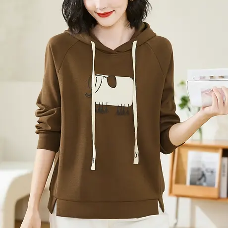 连帽宽松卫衣女春秋季新款今年流行的休闲上衣服套头长袖百搭外套商品大图