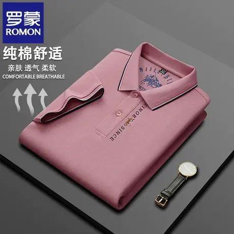 罗蒙纯棉男士刺绣POLO衫短袖t恤夏季薄款休闲中年爸爸翻领上衣N2Z图片