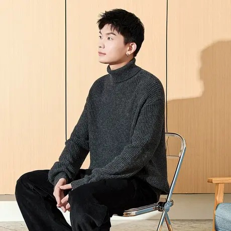 唐狮秋冬季新款高领毛衣男生绞花白色内搭男款毛衫针织上衣潮流TE图片