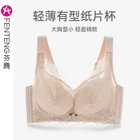 芬腾内衣女大胸显小上托防下垂无钢圈文胸性感蕾丝透气全罩杯胸罩商品大图