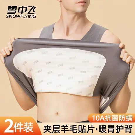雪中飞男士秋冬季加绒加厚羊毛保暖背心无痕内搭坎肩打底防寒马甲商品大图