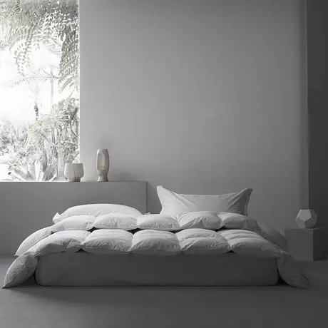 恒源祥柔赛丝95白鹅绒被加厚保暖被芯单双人秋冬被家用羽绒被被芯商品大图