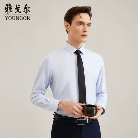 【柔软易打理】TP系雅戈尔衬衫秋季新款免烫商务休闲长袖衬衫商品大图