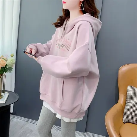 设计感半拉链连帽卫衣女秋季2023年新款韩版宽松洋气休闲网红上衣商品大图