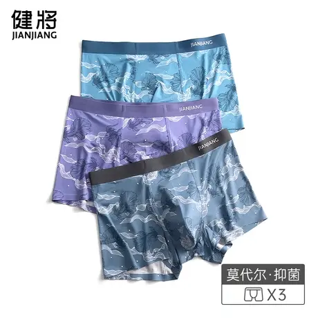健将男士内裤莫代尔纯棉裆四角裤抗菌大码男生平角短裤头2025新款图片