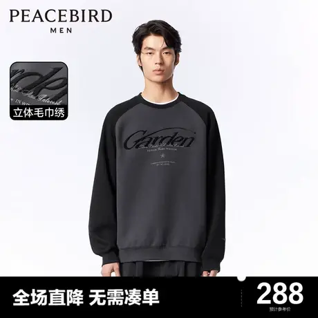 太平鸟男装 2024年春季新款圆领刺绣重磅卫衣男士宽松毛巾绣上衣图片