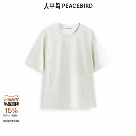 【商场同款】太平鸟男装T恤25夏季新款重磅刺绣短袖潮 B1CNF2424&商品大图