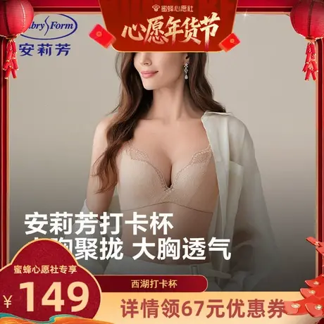 【蜜蜂心愿社】安莉芳打卡杯舒挺杯小胸聚拢女士内衣商品大图