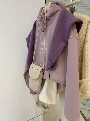 高级感法式香芋紫加绒加厚连帽卫衣女潮ins欧货时尚洋气套头上衣商品大图