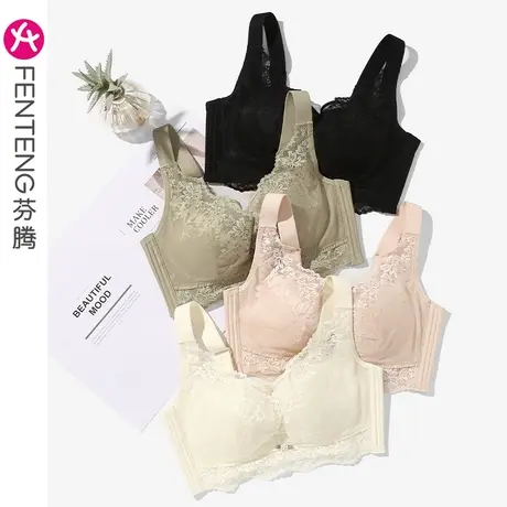 芬腾内衣女大胸显小防下垂无钢圈收副乳聚拢上托性感蕾丝少女文胸商品大图