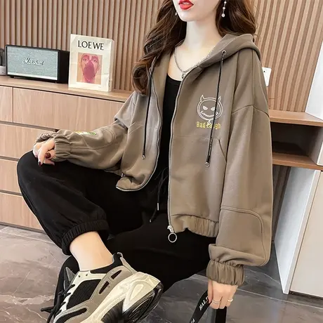 卫衣女春秋季韩版宽松薄款设计感小众ins初秋百搭带帽开衫外套潮商品大图