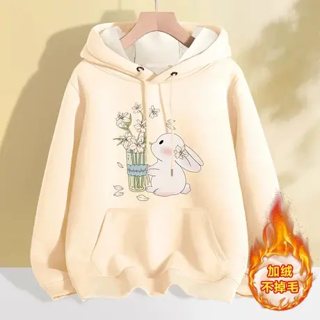 卫衣女秋冬爆款2024新款女装加绒连帽外套小个子学生冬季加厚上衣商品大图