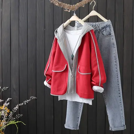 秋装新款文艺百搭夹克宽松简约连帽外套女装长袖休闲拉链上衣春秋图片