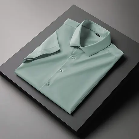 男士衬衫短袖抗皱免烫冰丝薄款商务正装夏季衬衣高级感轻熟风寸衫商品大图