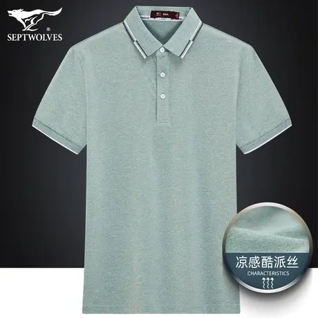 七匹狼狼族生活男士短袖T恤2023夏季简约休闲翻领Polo衫男装体恤图片
