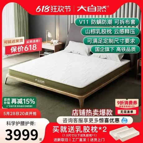 大自然棕垫床垫软垫家用荣耀30年纪念款天然山棕榈护脊乳胶床酒店商品大图