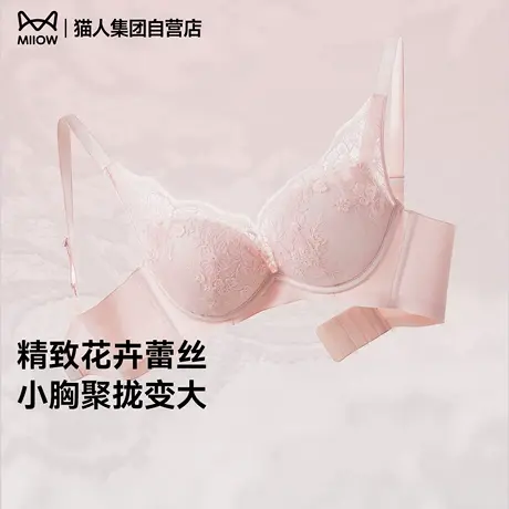 猫人蕾丝网纱内衣女2025新款小胸聚拢显大收副乳防下垂性感文胸罩图片