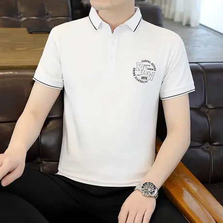 青年商务休闲棉料柔软带领短袖T恤男POLO衫柔软舒适休闲2023新款商品大图