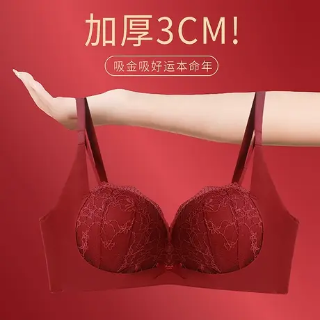 吸金本命年内衣女一身复古红色带胸垫3CM厚小熊显大转运红品套装商品大图