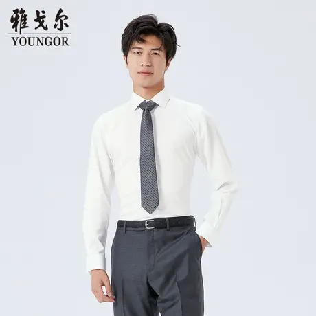 【商场同款】雅戈尔男士长袖衬衫春季新款官方商务休闲衬衫S3496图片