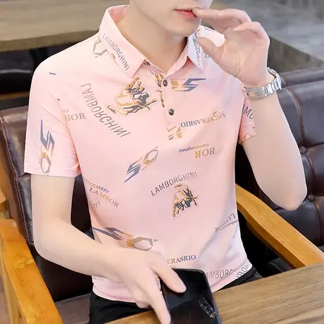 冰丝短袖T恤男士翻领夏季薄款2025新款带领POLO衫潮流休闲体恤ins图片