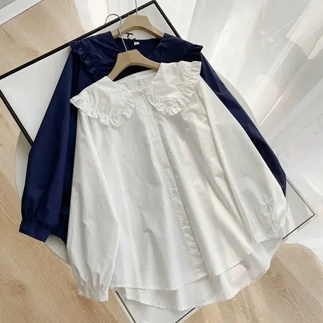 春装新款学生娃娃领纯棉白色衬衫女设计感小众荷叶领内搭打底上衣图片