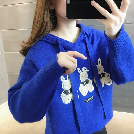 克莱因蓝毛衣女2023新款爆款春秋外穿内搭洋气上衣针织卫衣女连帽图片