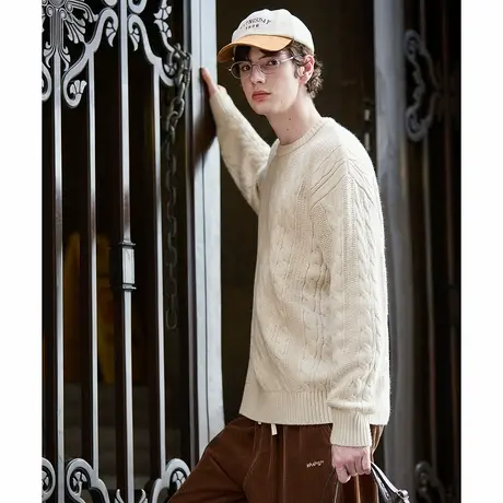 唐狮秋冬季新款麻花毛衣男士复古青少年慵懒风圆领针织毛衫潮TM图片