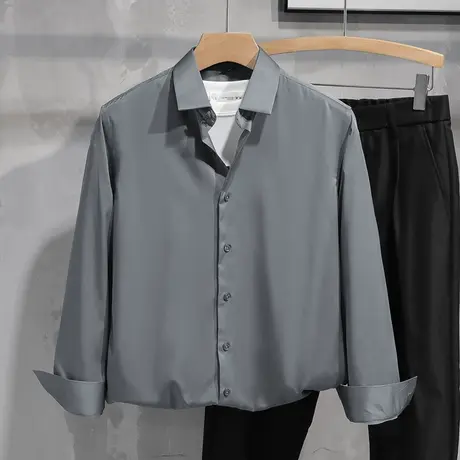 男士衬衫长袖2024新款春秋季免烫抗皱休闲衬衣高级感商务正装寸衫商品大图