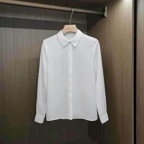 2022年春秋季新款女士简约通勤修身小众设计感长袖雪纺衫上衣图片