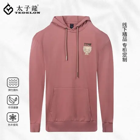 专柜款太子龙连帽卫衣男春秋款潮流美式高街外套男士大码宽松帽衫商品大图