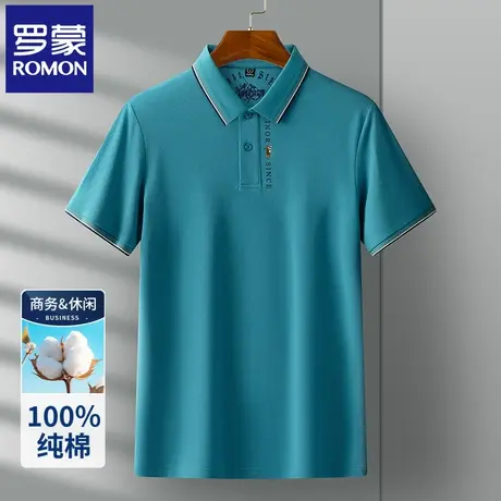 罗蒙夏季薄款刺绣POLO衫短袖t恤男休闲中年纯棉半袖保罗衫体恤N2Z商品大图
