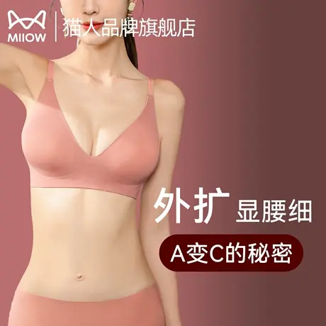猫人外扩型胸内衣女小胸聚拢显胸大无痕美背胸衣韩国无钢圈文胸罩图片
