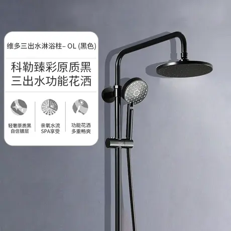 科勒花洒官方旗舰店黑色淋浴花洒套装家用亲氧淋浴花洒K-28655T图片