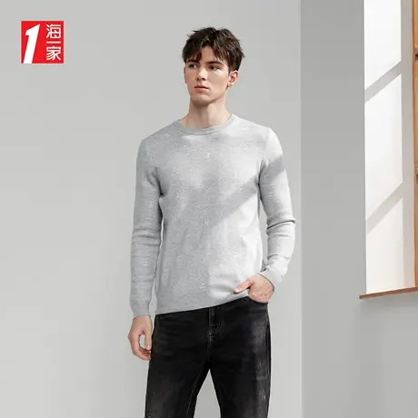 海一家简约花纹毛衣2023秋季新款圆领日常休闲男士长袖针织衫商品大图