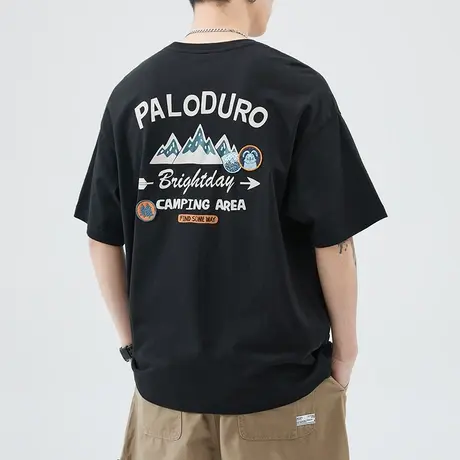 夏季后背面印花体恤男装短袖t恤男士纯棉圆领上衣服男款2024新款图片