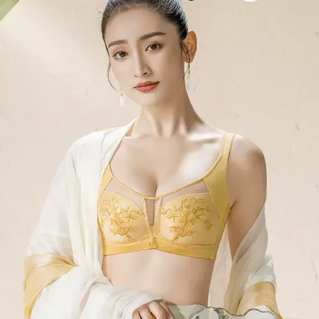 奥维丝丽灵兰系列内衣女小胸聚拢中厚上托收副乳调整型软钢圈文胸商品大图