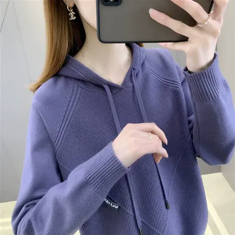 针织卫衣女2022年新款连帽宽松套头上衣贴标洋气帽衫春秋外穿毛衣图片