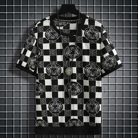 男装2023新款夏季潮流冰丝短袖t恤男士格子半袖锦纶提花短袖体恤商品大图