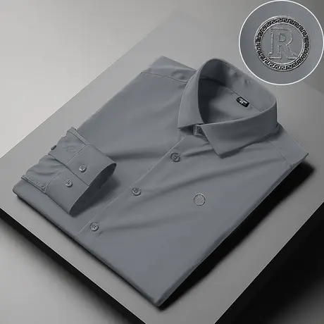 春秋季衬衫男长袖2024新款商务正装免烫抗皱衬衣轻熟风高级感寸衫商品大图