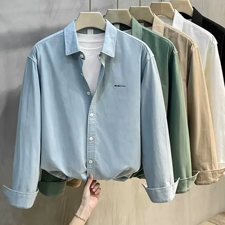 简约刺绣长袖衬衫男春秋季宽松商务休闲纯棉寸衫纯色翻领衬衣外套商品大图