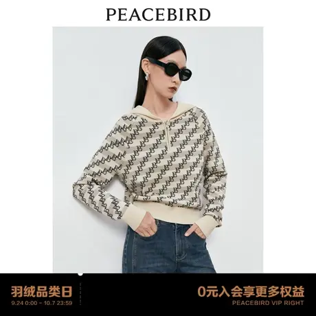 【商场同款】太平鸟女装2023年冬季新款老花连帽套头衫A1EED4249商品大图