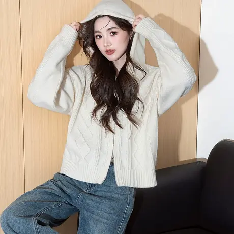 唐狮秋冬毛衣外套女简约绞花设计连帽针织开衫女高级感慵懒风TD商品大图