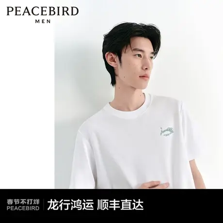 太平鸟男装 短袖t恤男2024年春季新款背后印花垂感宽松白色体恤潮图片