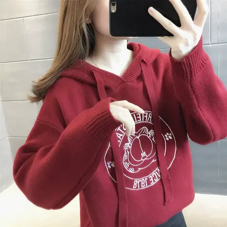 秋冬毛衣外穿女装秋款早秋外套2023新款连帽针织卫衣女设计感小众图片