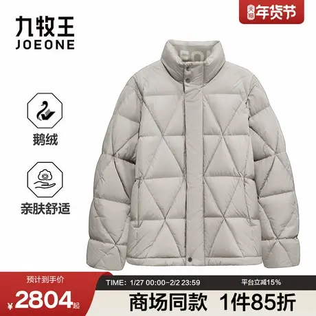 [商场同款]九牧王男装2025冬季新款亲肤舒适商务休闲男款羽绒服商品大图