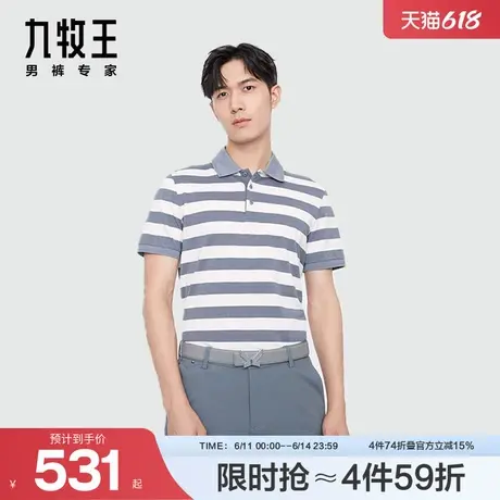 九牧王男装AT2DVS2417短袖T恤24春夏新品干爽丝滑舒适百搭上衣男商品大图