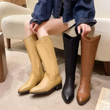 靴子女秋款2023新款爆款小众设计感显瘦骑士靴粗跟尖头时尚长筒靴图片